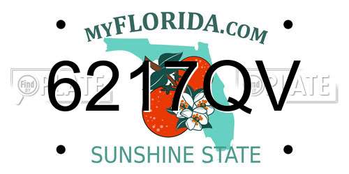 6217QV Florida License Plate