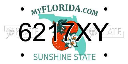6217XY Florida License Plate