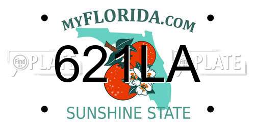 621LA Florida License Plate