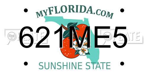 621ME5 Florida License Plate