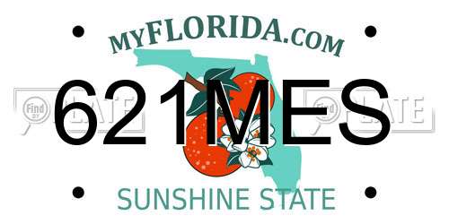 621MES Florida License Plate