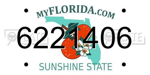 6221406 Florida License Plate