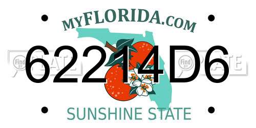 62214D6 Florida License Plate