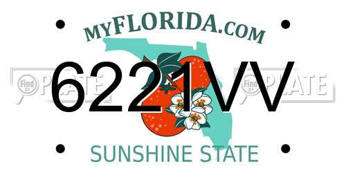 6221VV Florida License Plate