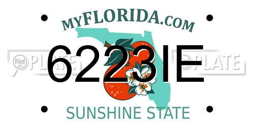 6223IE Florida License Plate