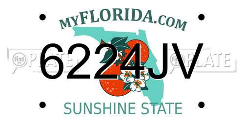 6224JV Florida License Plate