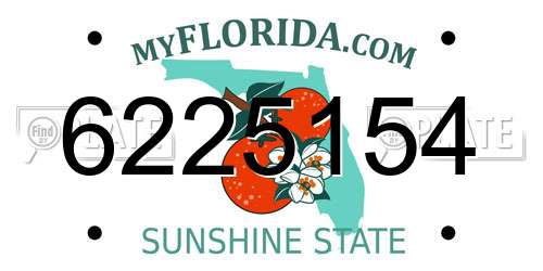 6225154 Florida License Plate