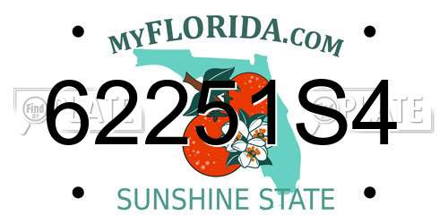 62251S4 Florida License Plate