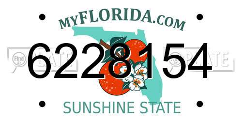 6228154 Florida License Plate