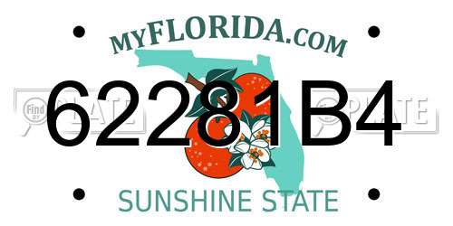 62281B4 Florida License Plate