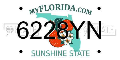 6228YN Florida License Plate