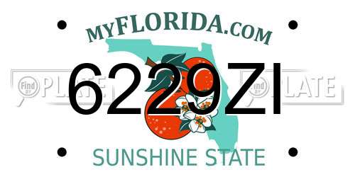 6229ZI Florida License Plate