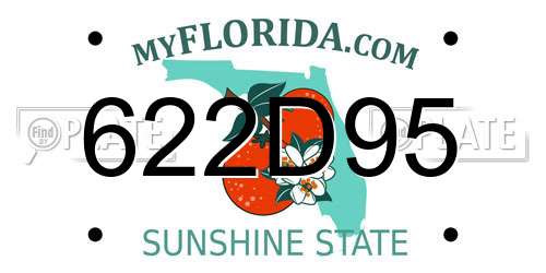 622D95 Florida License Plate