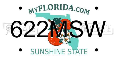 622MSW Florida License Plate