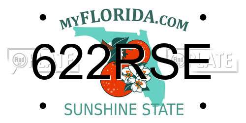 622RSE Florida License Plate