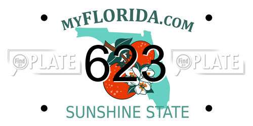 623 Florida License Plate