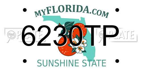 6230TP Florida License Plate