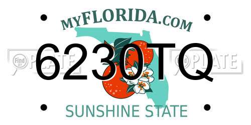 6230TQ Florida License Plate