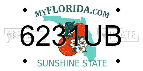 6231UB Florida License Plate