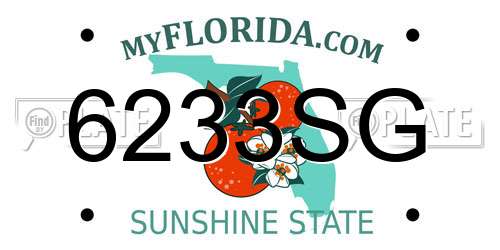 6233SG Florida License Plate