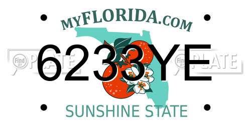 6233YE Florida License Plate