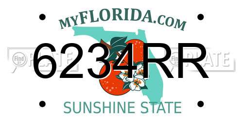 6234RR Florida License Plate