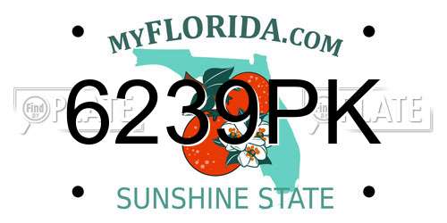 6239PK Florida License Plate