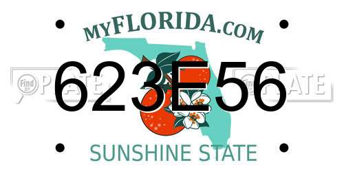 623E56 Florida License Plate