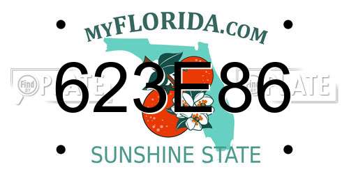 623E86 Florida License Plate