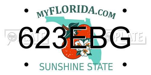 623EBG Florida License Plate