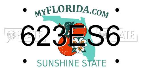 623ES6 Florida License Plate