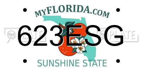 623ESG Florida License Plate