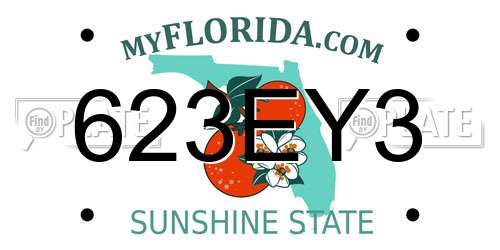 623EY3 Florida License Plate