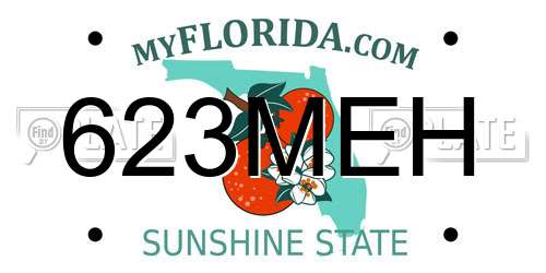 623MEH Florida License Plate