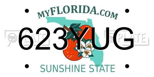 623YUG Florida License Plate