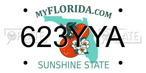 623YYA Florida License Plate
