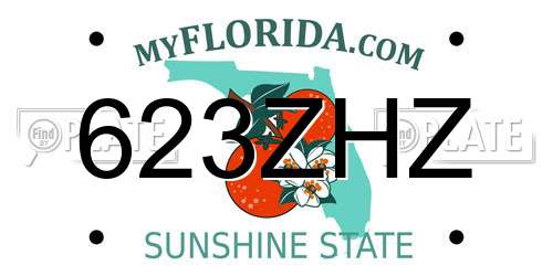 623ZHZ Florida License Plate