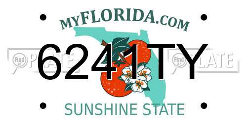6241TY Florida License Plate