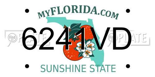 6241VD Florida License Plate