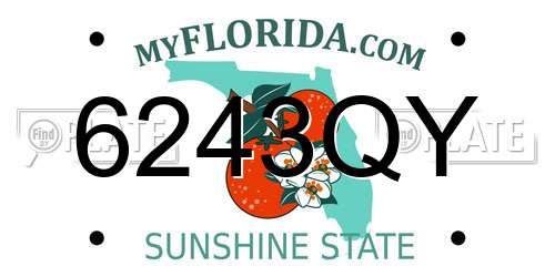 6243QY Florida License Plate
