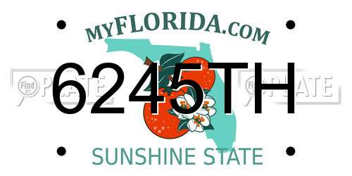 6245TH Florida License Plate