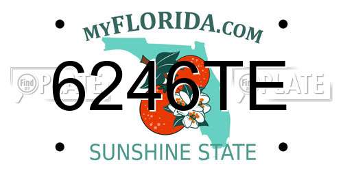 6246TE Florida License Plate