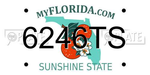 6246TS Florida License Plate