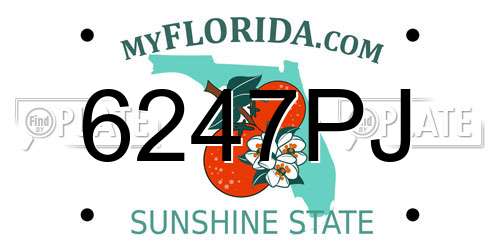 6247PJ Florida License Plate