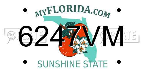6247VM Florida License Plate