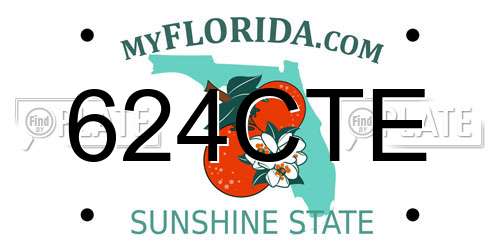 624CTE Florida License Plate