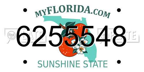 6255548 Florida License Plate