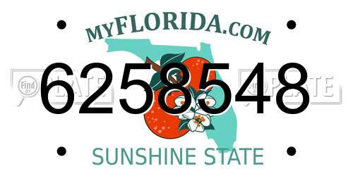 6258548 Florida License Plate