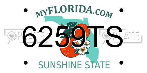 6259TS Florida License Plate