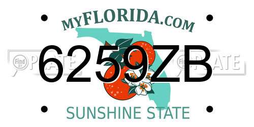 6259ZB Florida License Plate